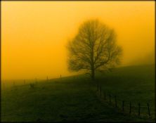 marienhagen - a foggy morning.jpg